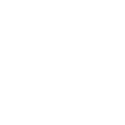 Big Data
