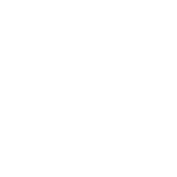Project management
