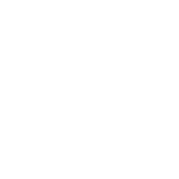 SAP courses

