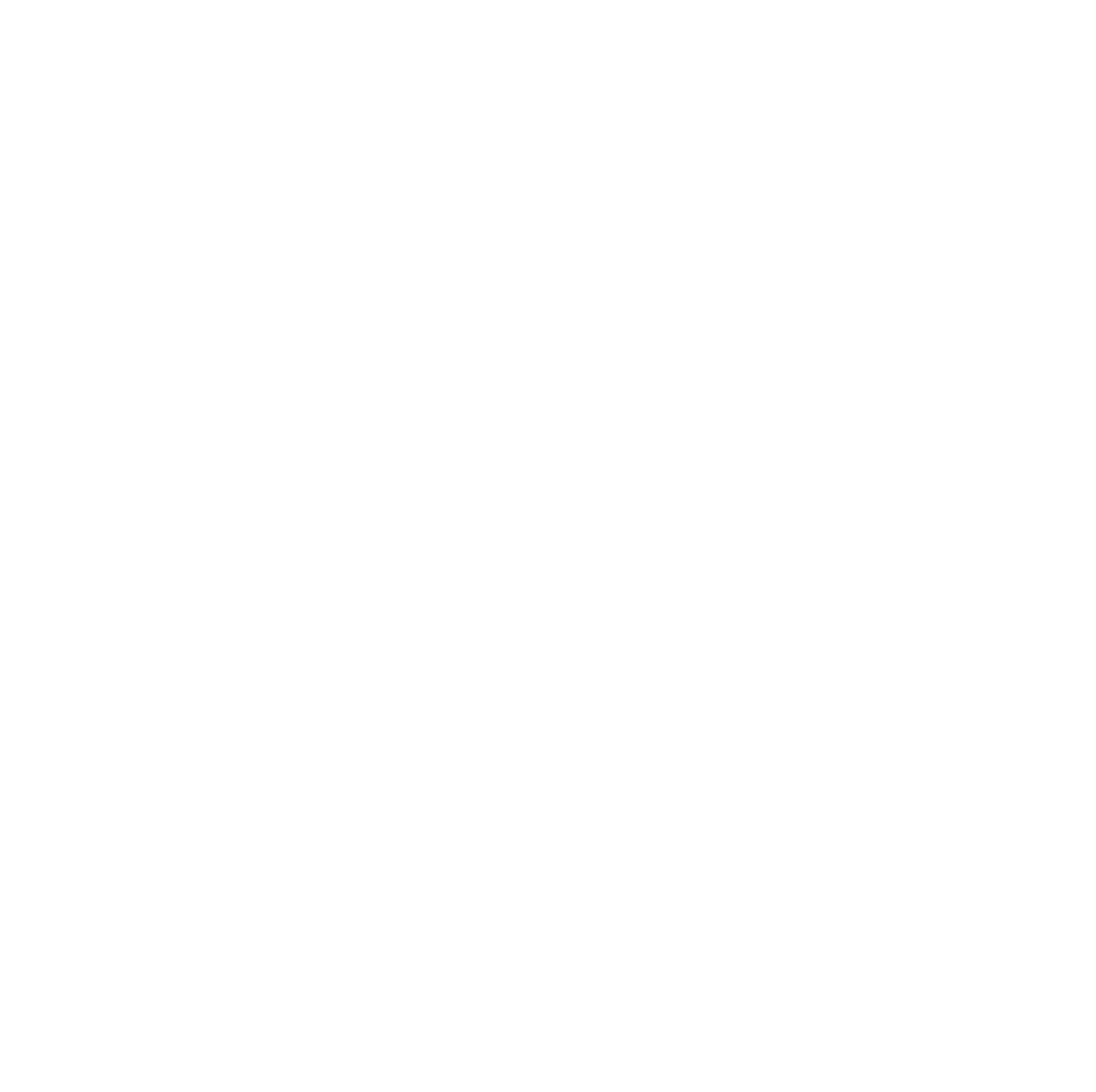 Software Testing
